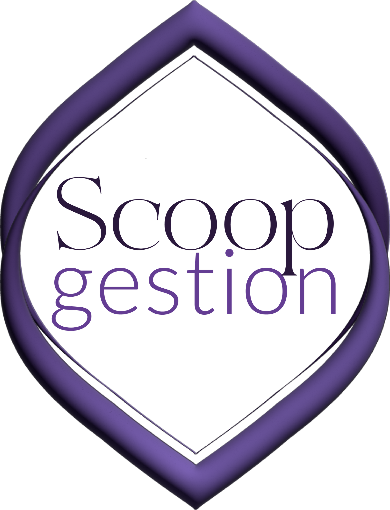 Logo Scoop Gestion